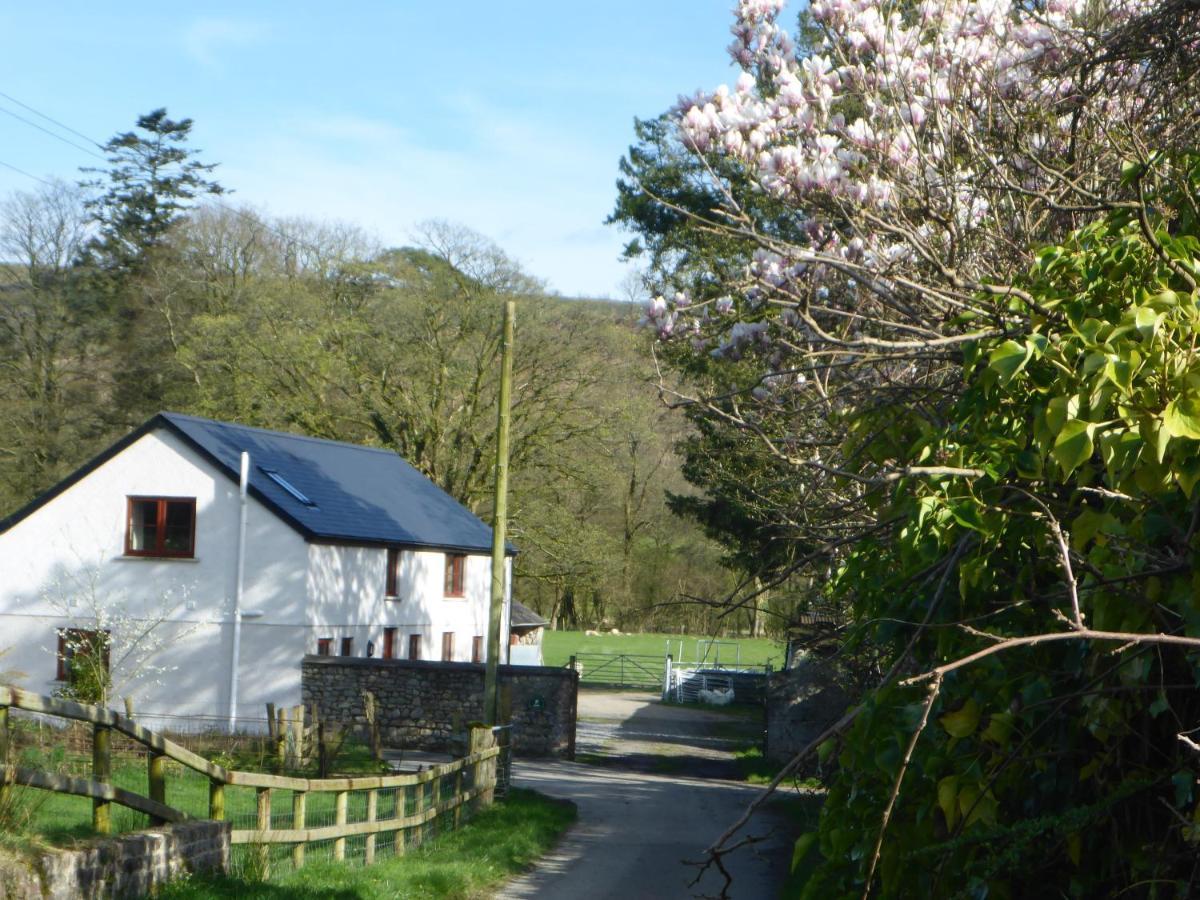 Kestrel Farmhouse Llandovery Dış mekan fotoğraf